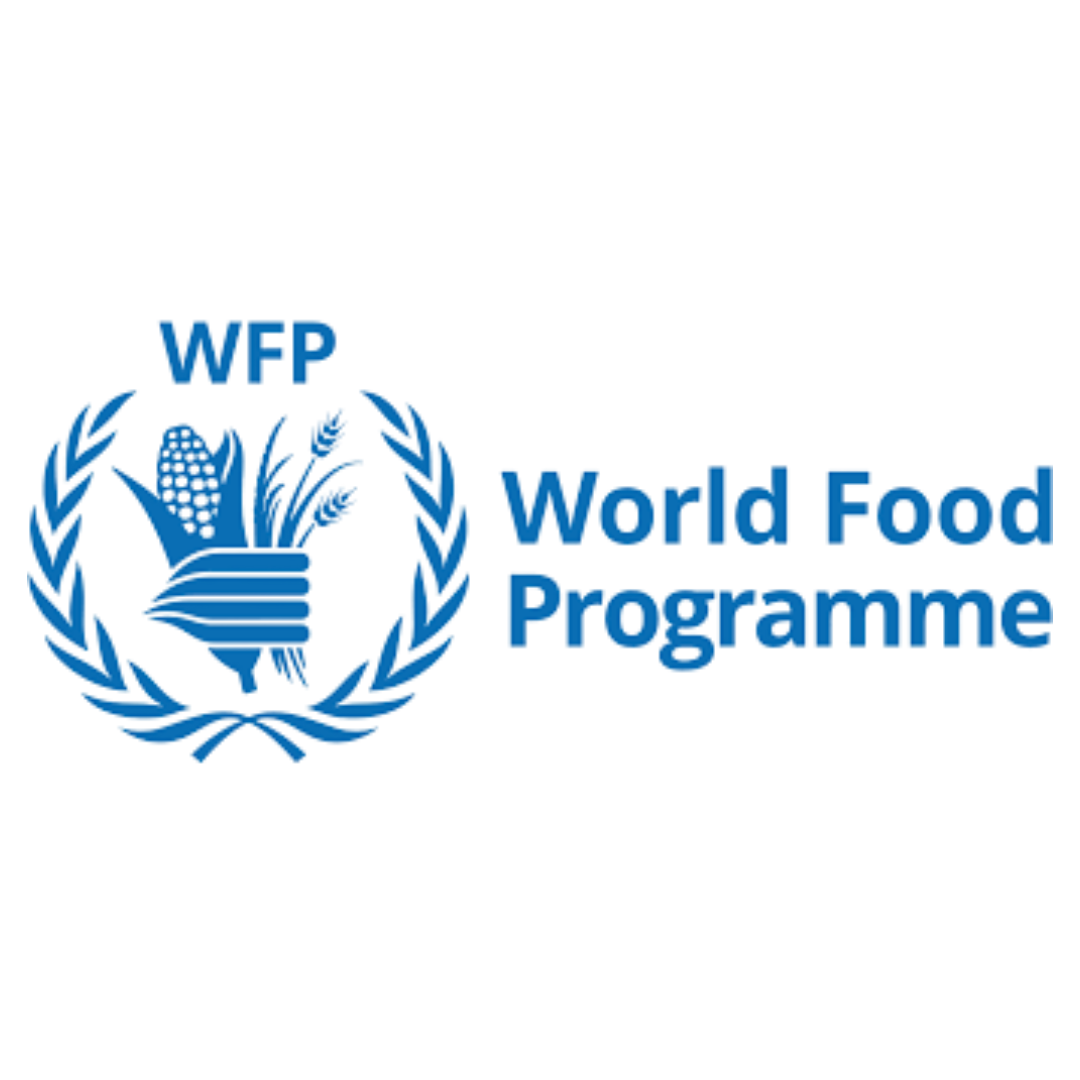 4.WFP.png